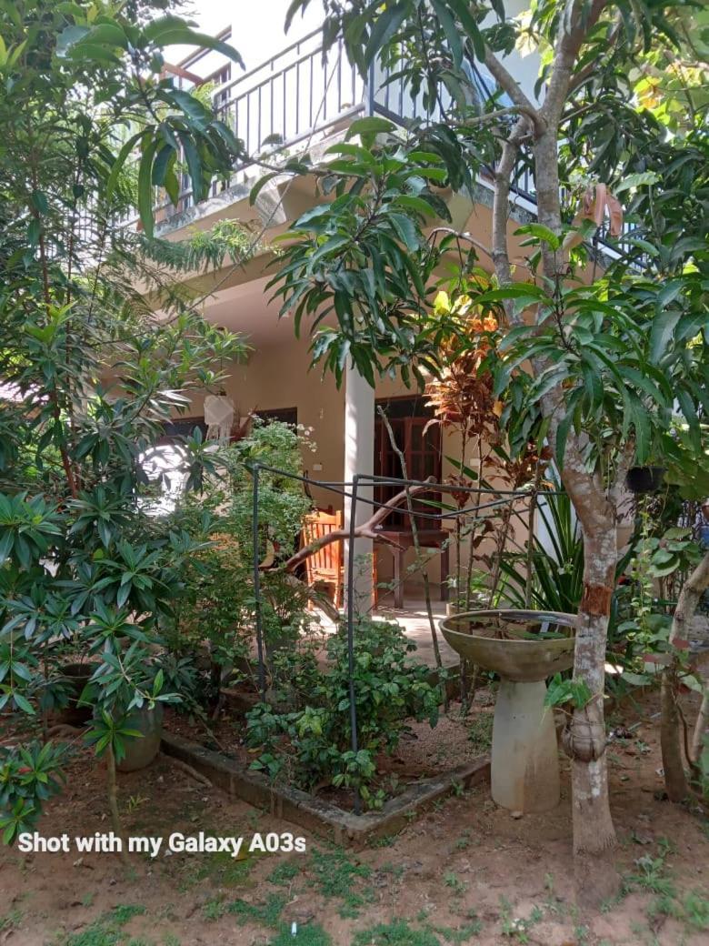 Bamboo Grove Villa Tangalle Eksteriør billede